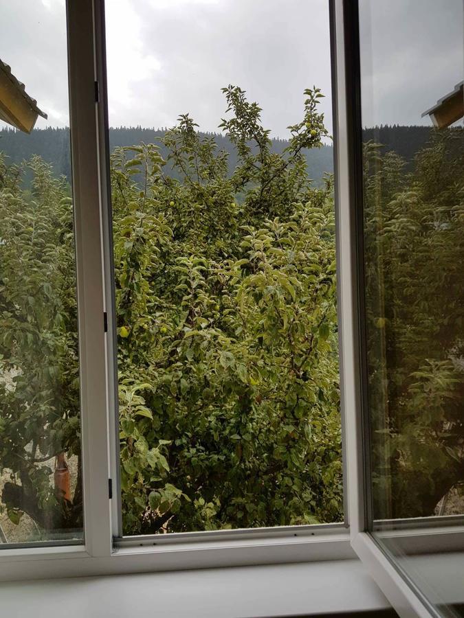 Guesthouse Guram Baba Mestia Bagian luar foto