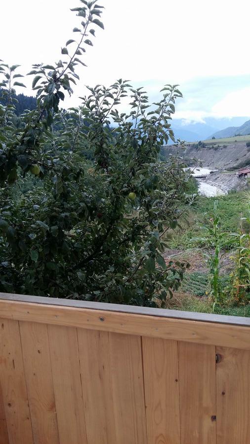 Guesthouse Guram Baba Mestia Bagian luar foto