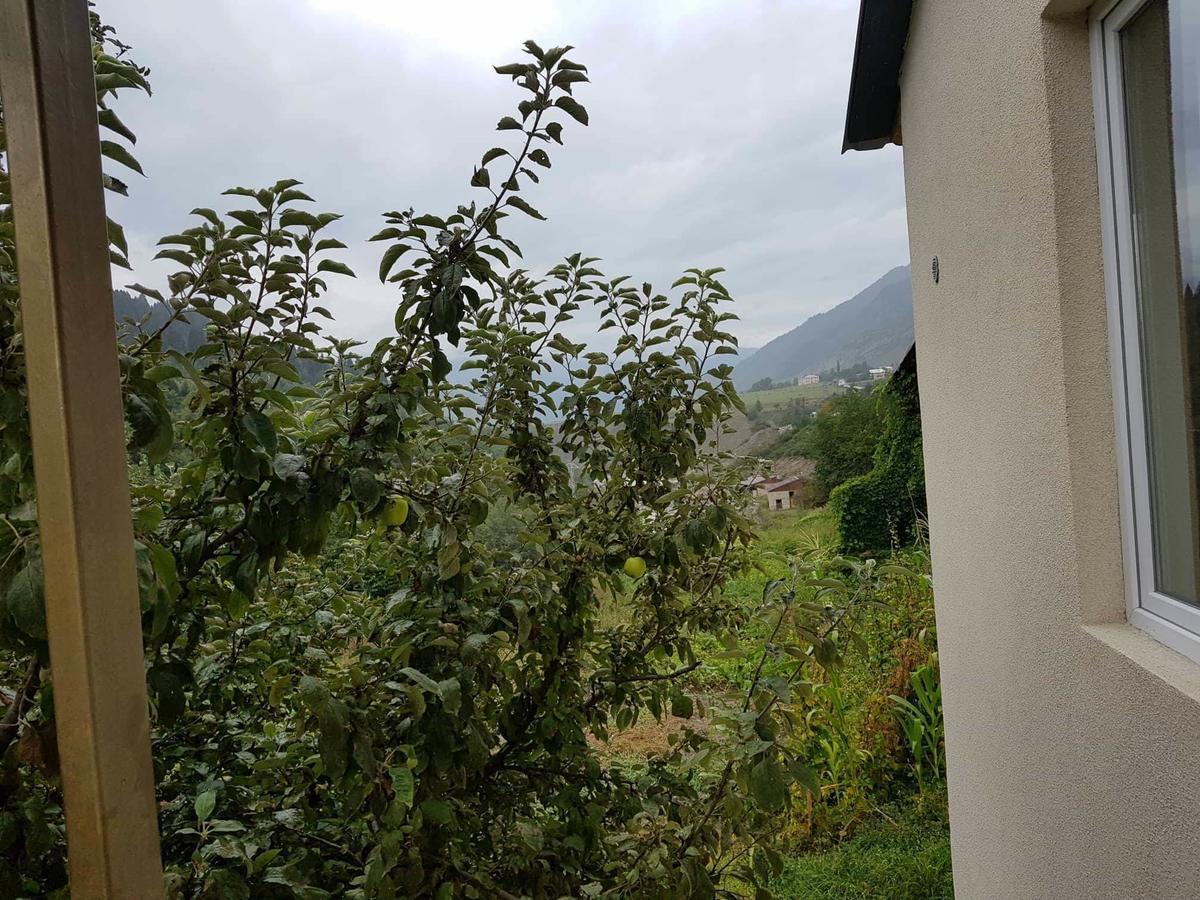 Guesthouse Guram Baba Mestia Bagian luar foto